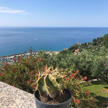Villa Degli Ulivi B&B Финале Лигуре Екстериор снимка